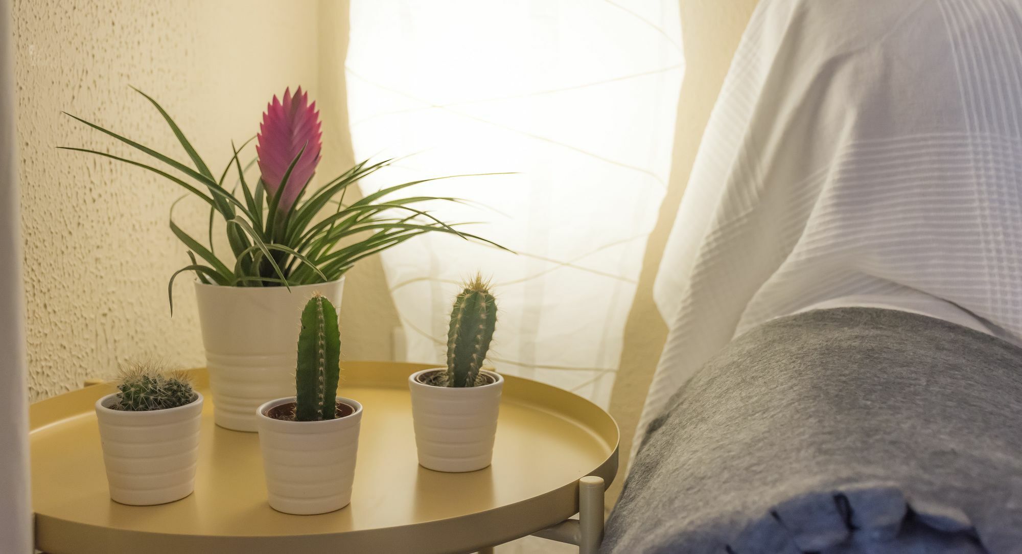 Apartamento Amplio Casco Historico Sevilla